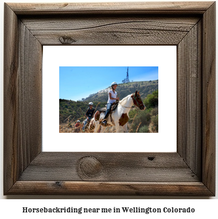 horseback riding near me in Wellington, Colorado